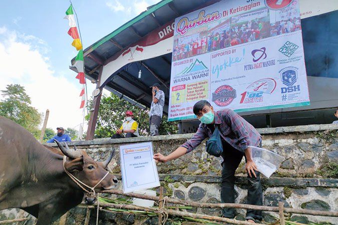 Momen Istimewa, Perayaan Idul Adha di Tengah Pandemi COVID-19